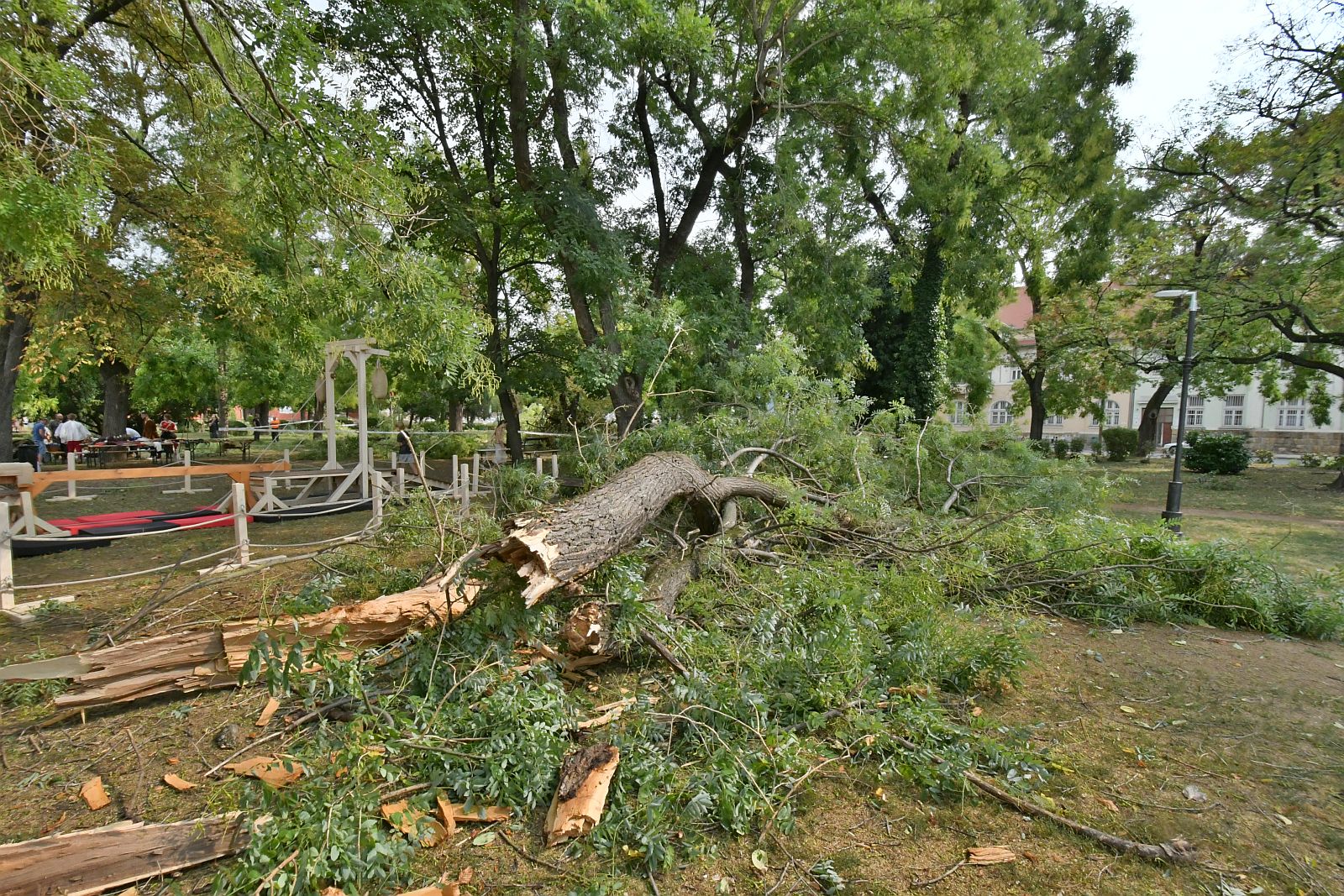 A Zichy ligetet is letarolta a vasárnap esti vihar